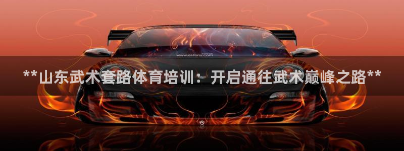 耀世娱乐平台注册地址在哪里找：**山东武术套路体育培
