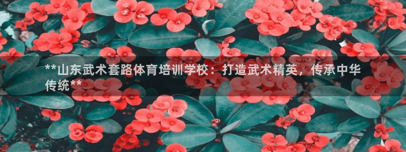 耀世什么意思：**山东武术套路体育培训学校：打造武术