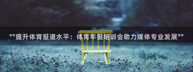耀世平台注册步骤图片：**提升体育报道水平：体育年报