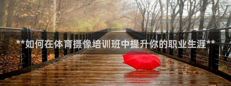 耀世盛典手游：**如何在体育摄像培训班中提升你的职业