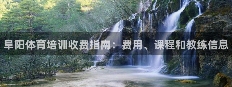 耀世集团王总简介：阜阳体育培训收费指南：费用、课程和
