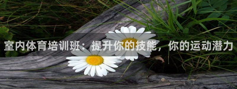 耀世娱乐网站：室内体育培训班：提升你的技能，你的运动