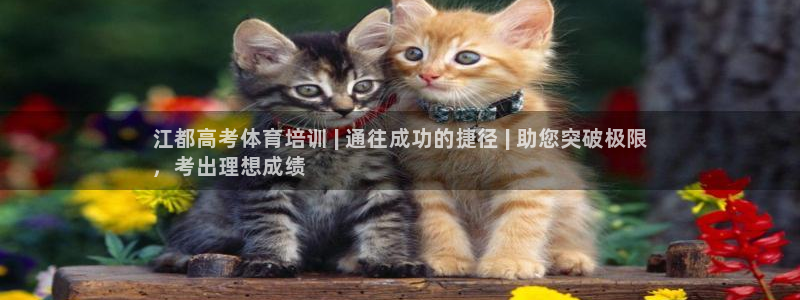 耀世娱乐扣款是7IIII扣什么：江都高考体育培训 |
