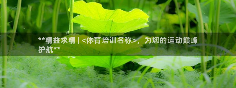 耀世启幕：**精益求精 | <体育培训名称>，为您的