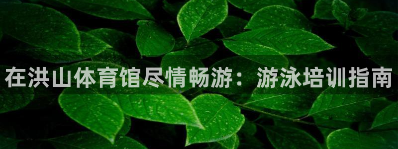 耀世盛典下载：在洪山体育馆尽情畅游：游泳培训指南