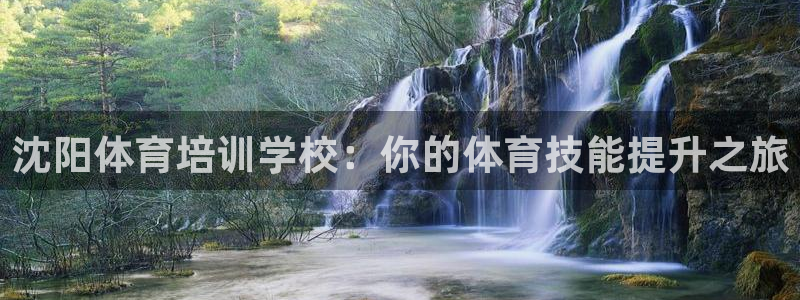 耀世第三关怎么过：沈阳体育培训学校：你的体育技能提升