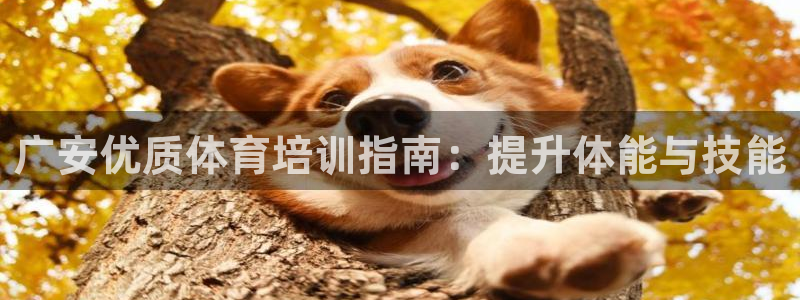 耀世盛典手游下载：广安优质体育培训指南：提升体能与技