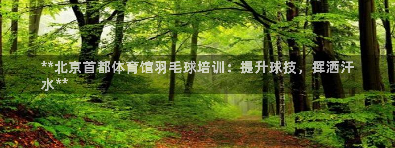 耀世微光 歌词：**北京首都体育馆羽毛球培训：提升球