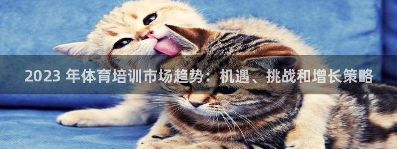 耀世娱乐网站官网：2023 年体育培训市场趋势：机遇