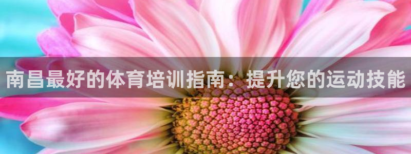 耀世登场下一句：南昌最好的体育培训指南：提升您的运动