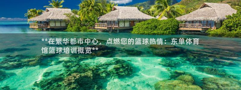 耀世盛启什么意思：**在繁华都市中心，点燃您的篮球热