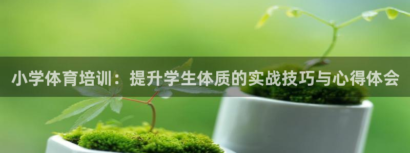 耀世首开什么意思：小学体育培训：提升学生体质的实战技