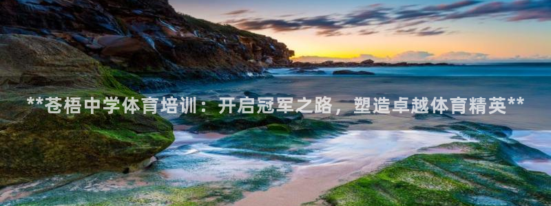 耀世首开什么意思：**苍梧中学体育培训：开启冠军之路