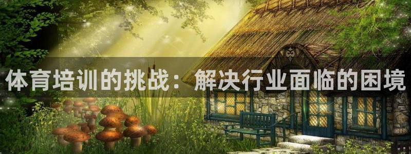 耀世盛典手游下载：体育培训的挑战：解决行业面临的困境