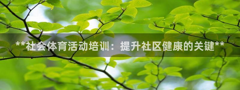 耀世集团是干嘛的企业：**社会体育活动培训：提升社区