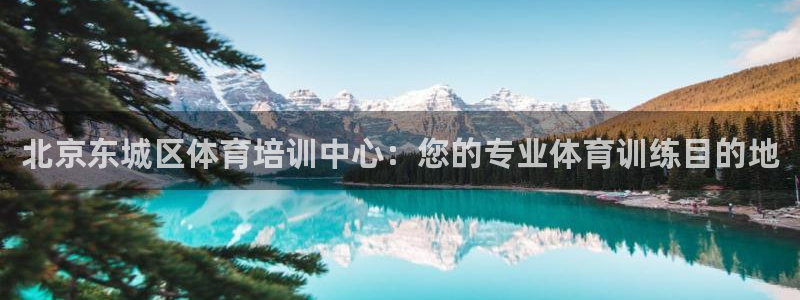 耀世国际平台正规吗可靠吗：北京东城区体育培训中心：您