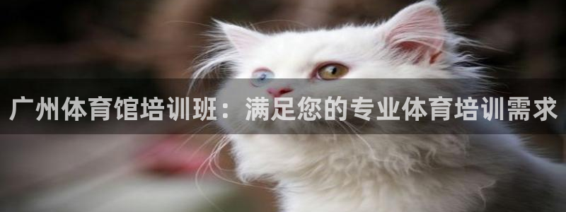 耀世娱乐列7O777：广州体育馆培训班：满足您的专业