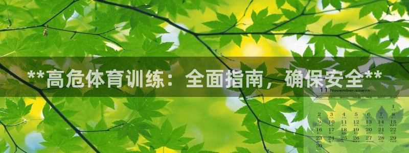 耀世平台产7O777：**高危体育训练：全面指南，确