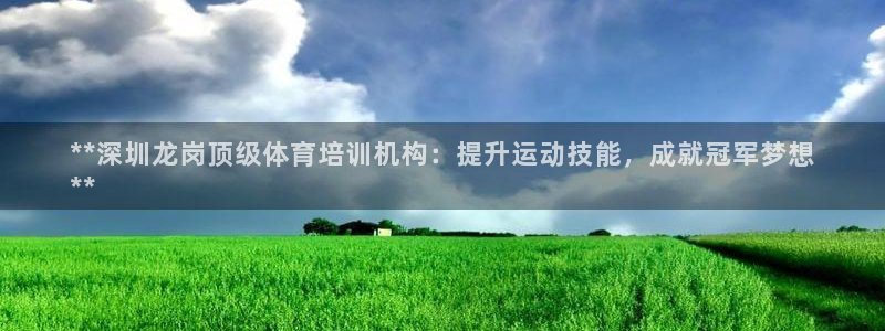 耀世平台开户怎么开：**深圳龙岗顶级体育培训机构：提