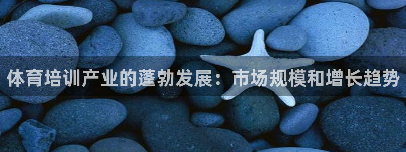耀世集团商业联盟罗文斌：体育培训产业的蓬勃发展：市场