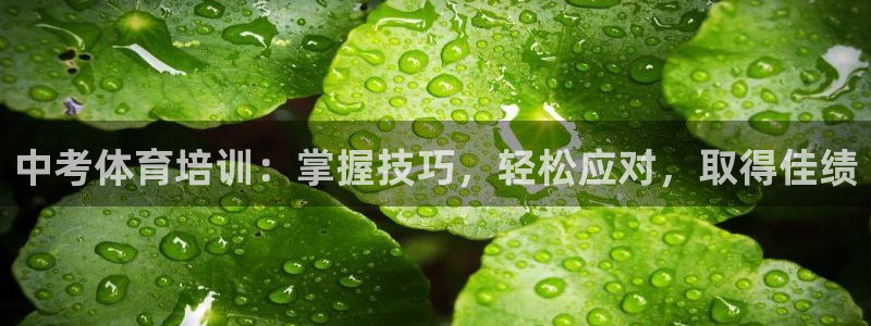 耀世娱乐登录地址在哪看：中考体育培训：掌握技巧，轻松