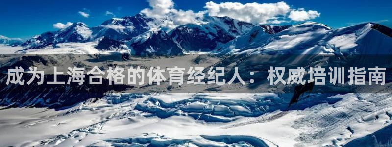 耀世是什么游戏：成为上海合格的体育经纪人：权威培训指