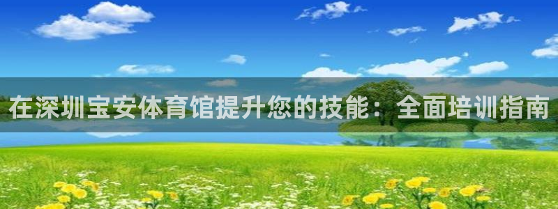 耀世集团商业联盟罗文斌：在深圳宝安体育馆提升您的技能