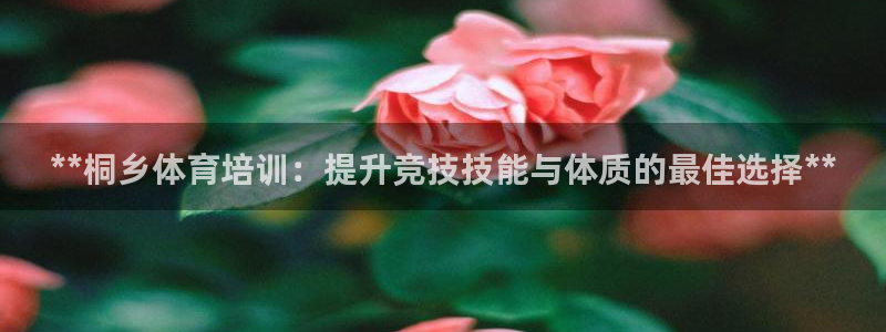 耀世平台注册网址是多少号：**桐乡体育培训：提升竞技