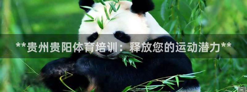 耀世娱乐怎么样：**贵州贵阳体育培训：释放您的运动潜