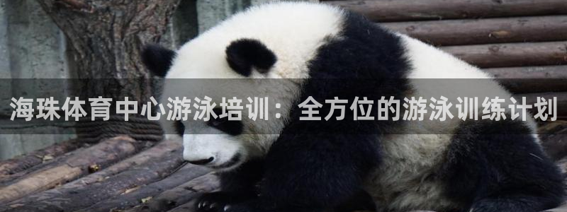 耀世娱乐登录地址在哪看：海珠体育中心游泳培训：全方位
