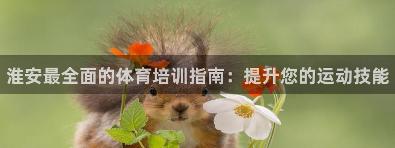 耀世而出：淮安最全面的体育培训指南：提升您的运动技能
