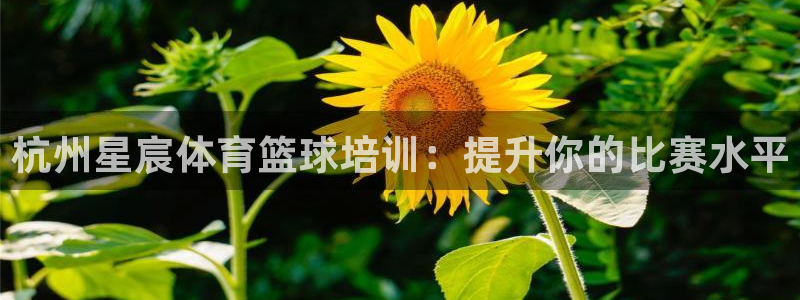耀世娱乐辅助软件下载安装：杭州星宸体育篮球培训：提升