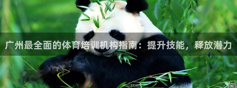 耀世平台开户流程：广州最全面的体育培训机构指南：提升