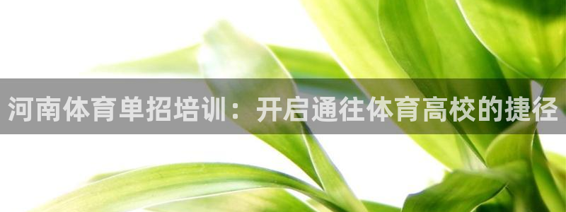 耀世娱乐登录地址在哪查：河南体育单招培训：开启通往体