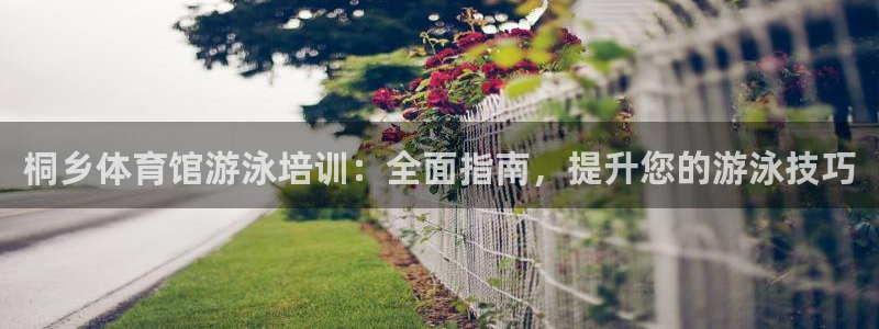 耀世开业是什么意思：桐乡体育馆游泳培训：全面指南，提