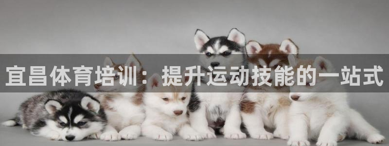 耀世平台的运营模式分析：宜昌体育培训：提升运动技能的