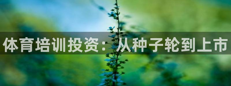 耀世娱乐出款快吗知乎：体育培训投资：从种子轮到上市