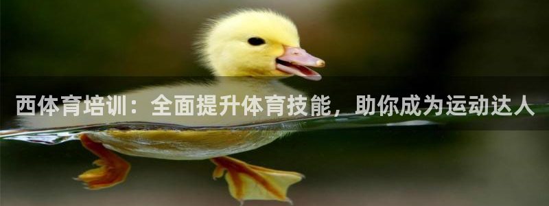 耀世娱乐官方网站下载：西体育培训：全面提升体育技能，