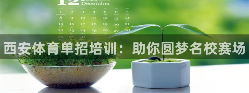 耀世集团是什么电影里的人物：西安体育单招培训：助你圆