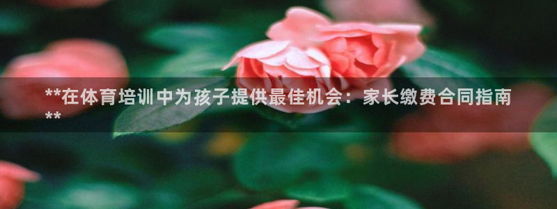 耀世娱乐登陆地址查询：**在体育培训中为孩子提供最佳机会：家