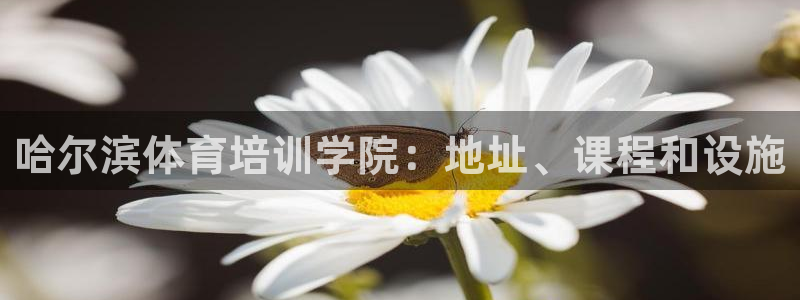 耀世小说全文免费阅读：哈尔滨体育培训学院：地址、课程