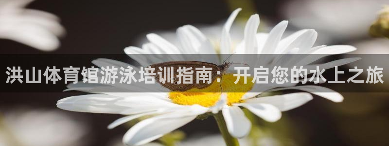 耀世平台注册网址查询