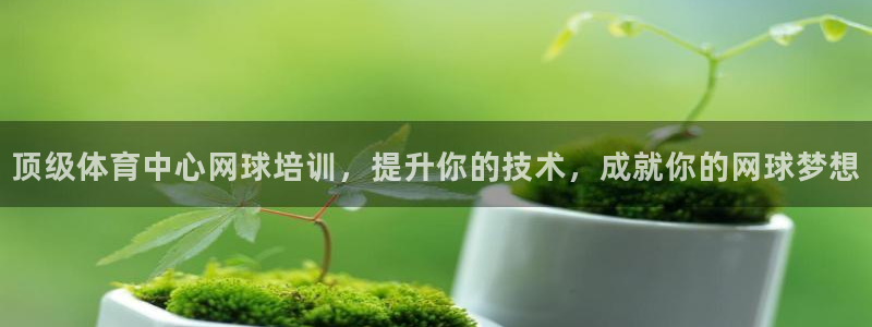 耀世楼盘：顶级体育中心网球培训，提升你的技术，成就你的网球梦