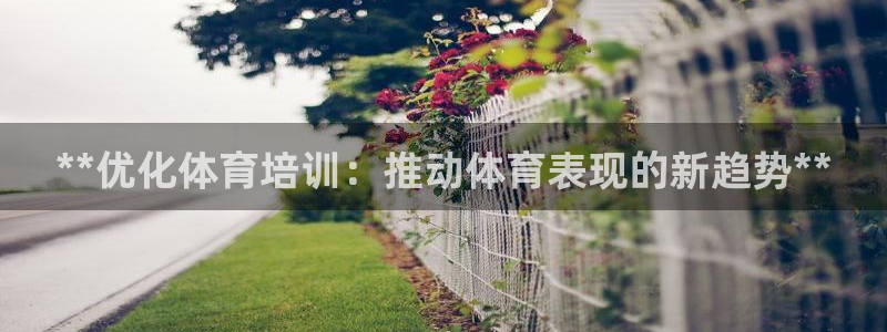 耀世平台代理怎么做的：**优化体育培训：推动体育表现的新趋势