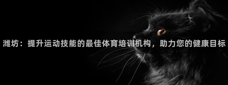 耀世娱乐雷 5O69I7：潍坊：提升运动技能的最佳体