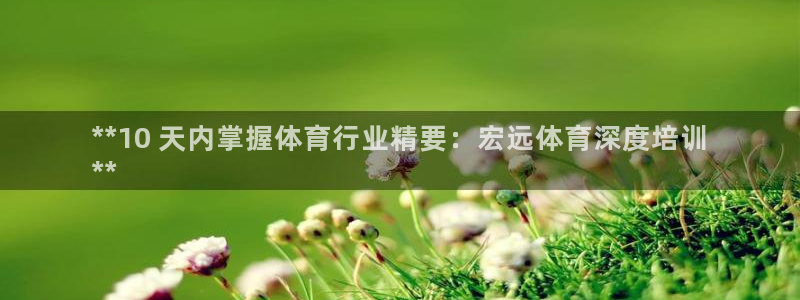 耀世娱乐代理什么待遇可以做：**10 天内掌握体育行