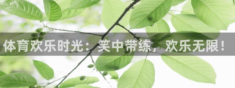 耀世娱乐升 5O6917 娱乐：体育欢乐时光：笑中带