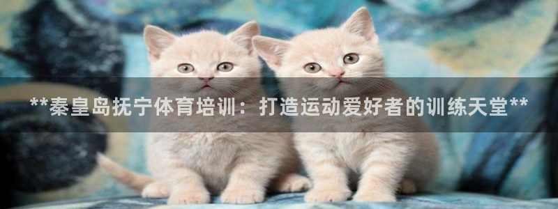 耀世娱乐平台注册登录失败：**秦皇岛抚宁体育培训：打