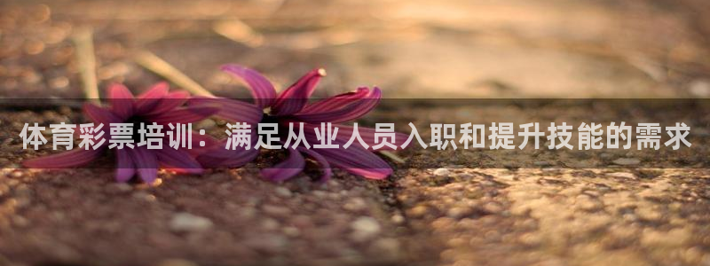 耀世成语：体育彩票培训：满足从业人员入职和提升技能的