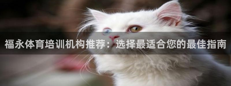 耀世娱乐可以玩吗：福永体育培训机构推荐：选择最适合您